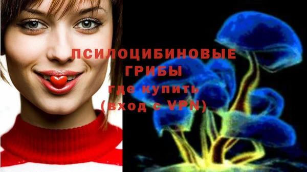 mdpv Богородск