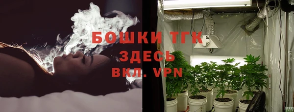 mdpv Богородск
