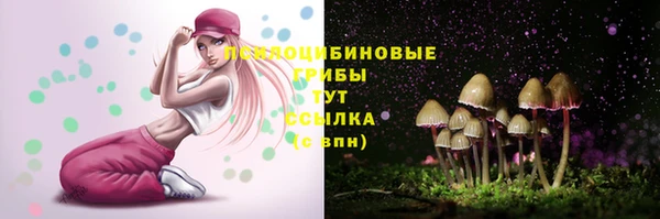 таблы Богородицк