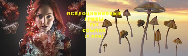 mdpv Богородск