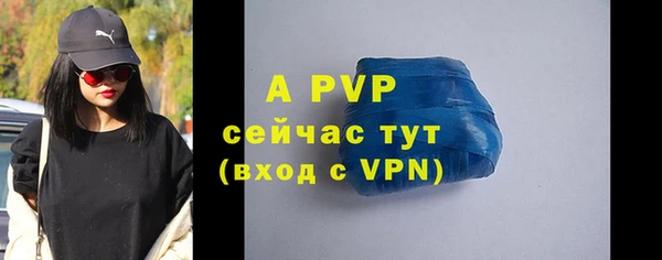 таблы Богородицк
