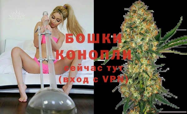 таблы Богородицк