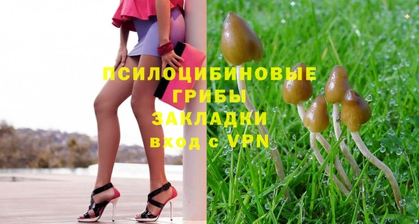 mdpv Богородск