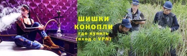 таблы Богородицк