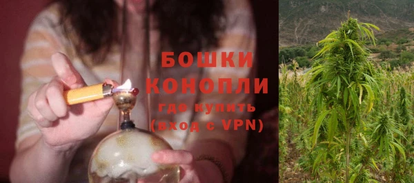 таблы Богородицк