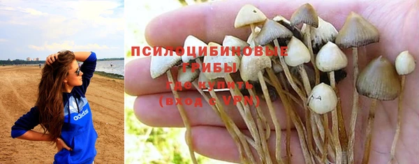 меф Богданович