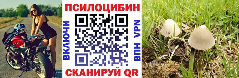 как найти   Дедовск  Псилоцибиновые грибы GOLDEN TEACHER 
