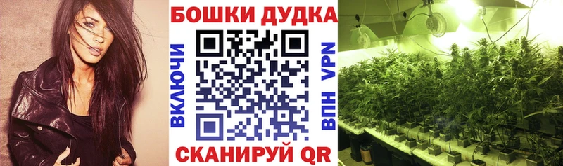 Канабис индика  наркошоп  Дедовск 